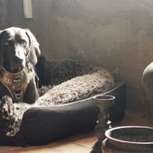 Projektraum "Obst und Sterne"