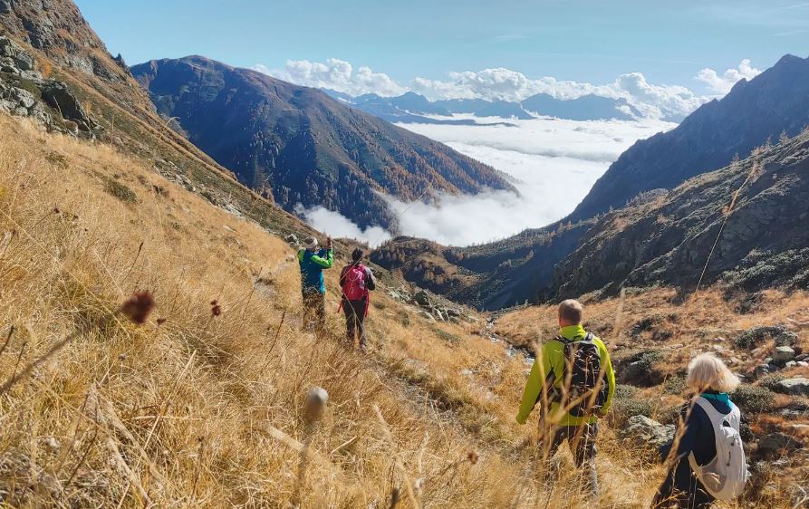 Lippmöshof Apartments