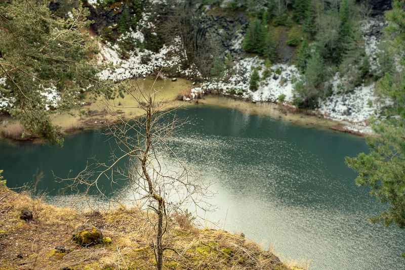 Ferienwohnung Dachsmühle: Natur und Tiere