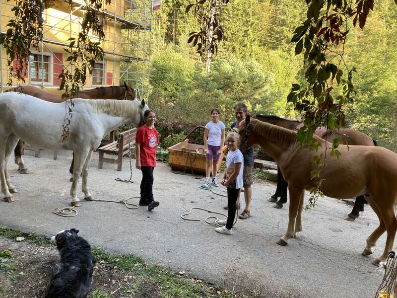 Ferienwohnung Dachsmühle: Natur und Tiere