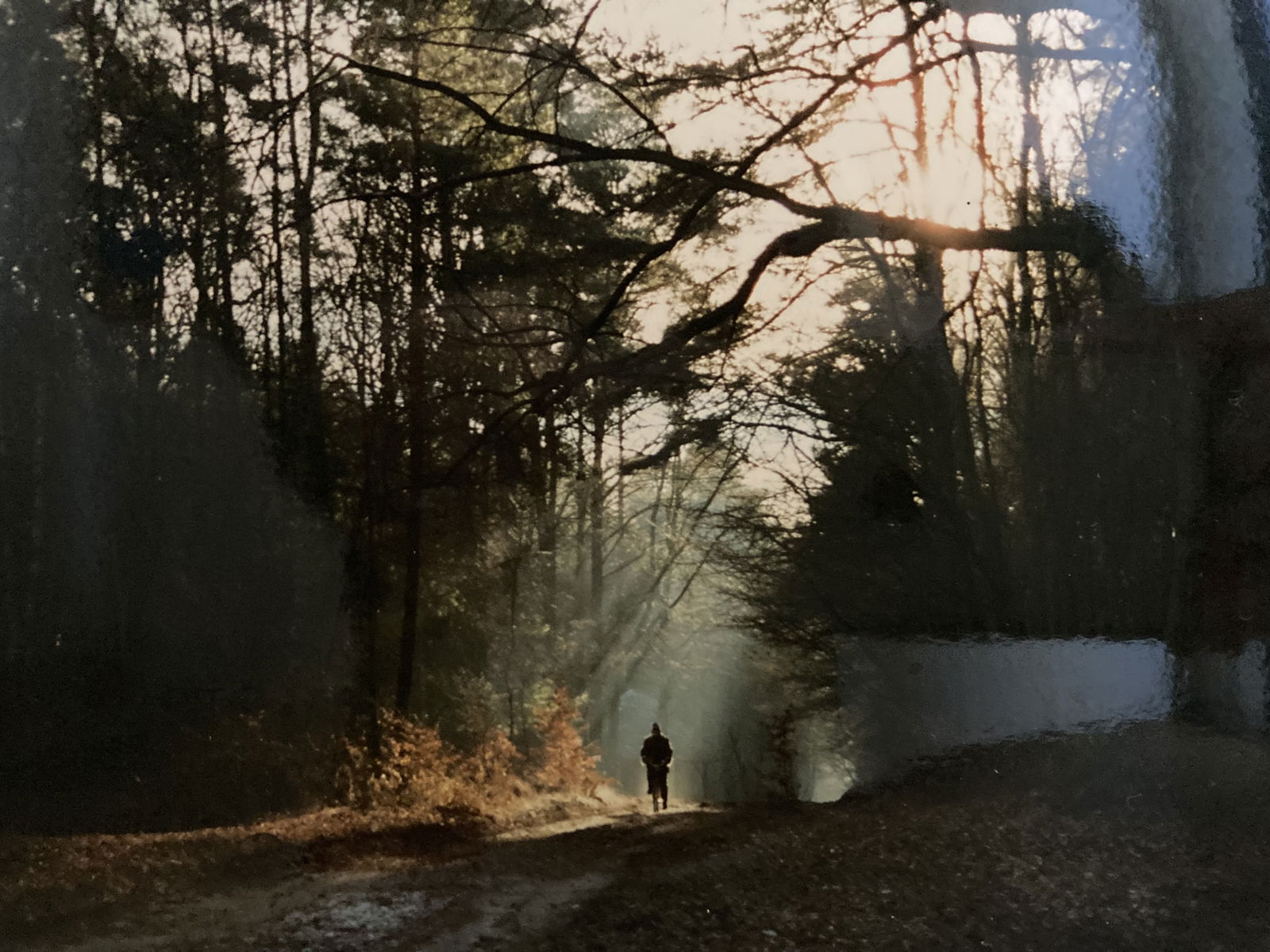 Zauberhafte reetgedeckte Darßer Ferienhäuser für 2 - 4 Pers.