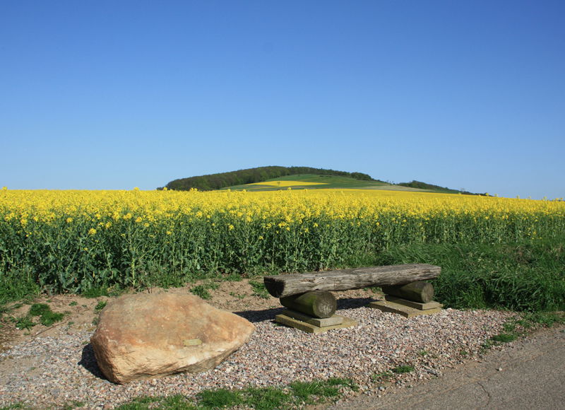 Ferienwohnung Strüver
