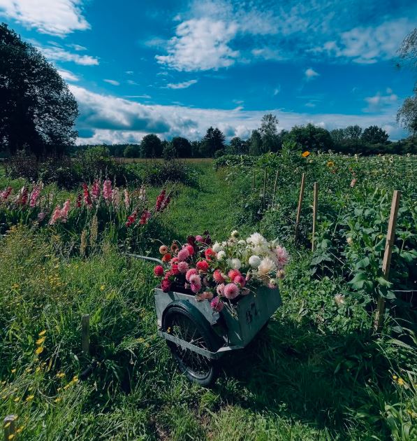 An Den Wiesen - Gasthaus am Finowkanal