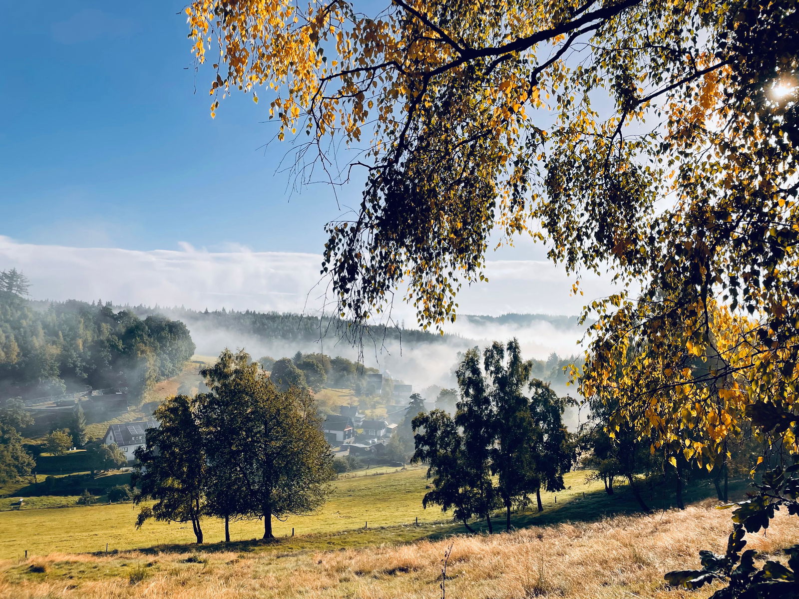 Ferienhaus FROSCHKÖNIG