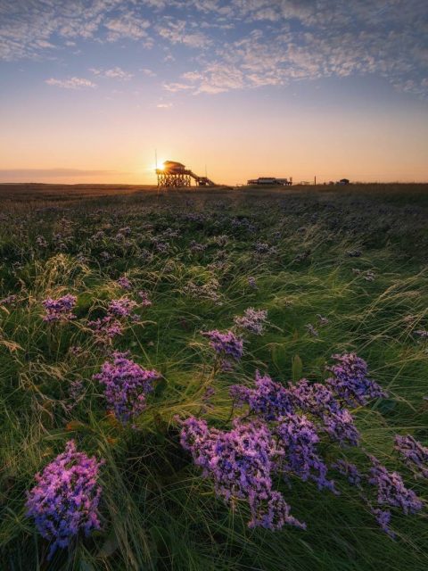 Ferienwohnung Haus der Hebamme