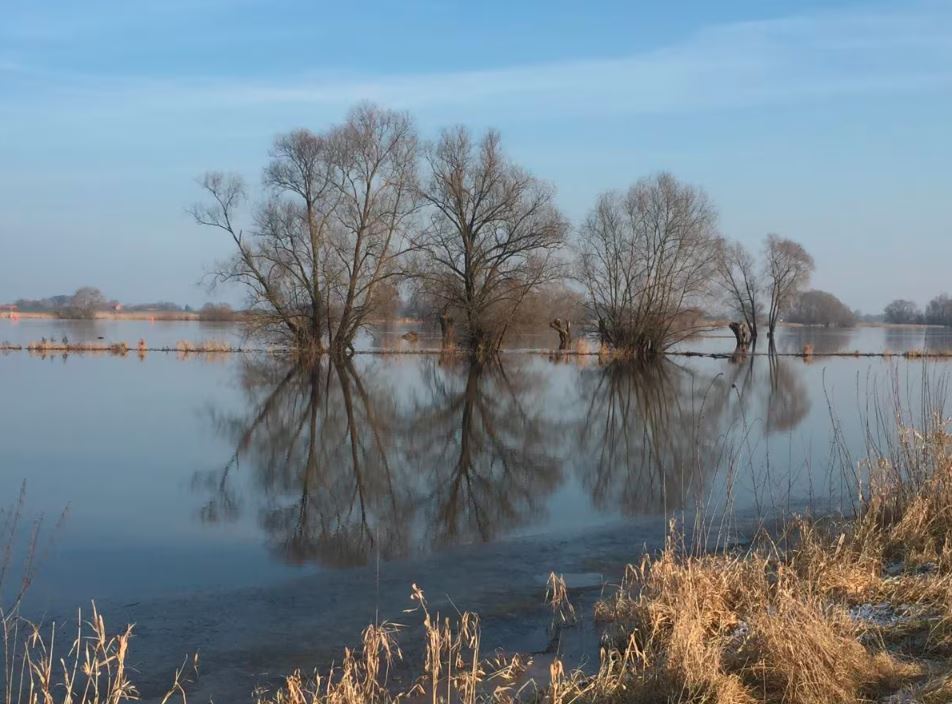 Ferienwohnung Wendland-am-Weinberg