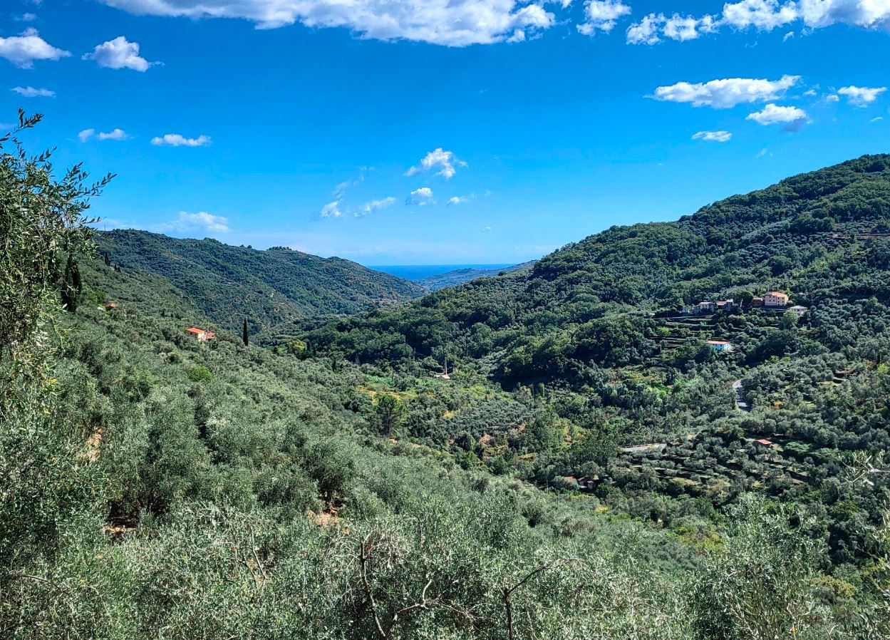 Oliva Azzurra Appartamento