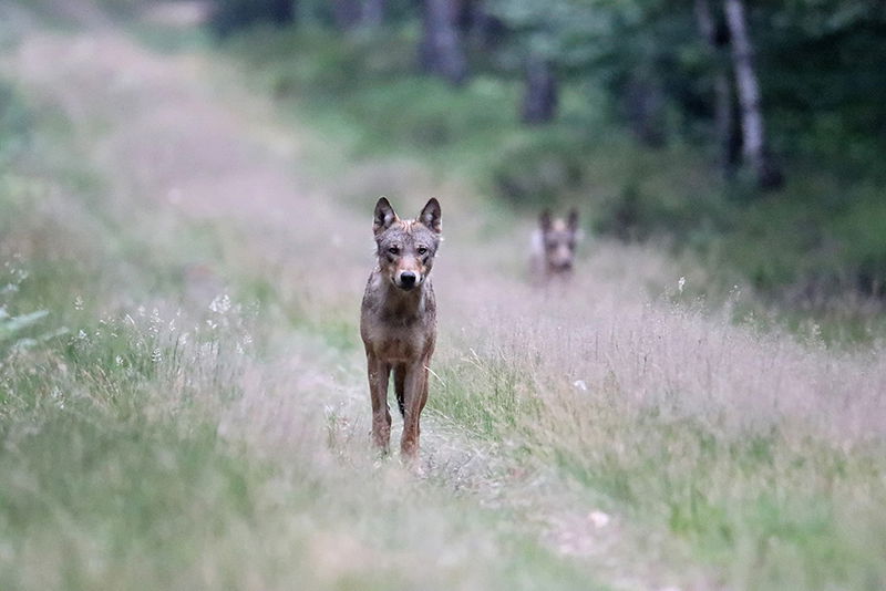 BIO-Hotel Kenners LandLust
