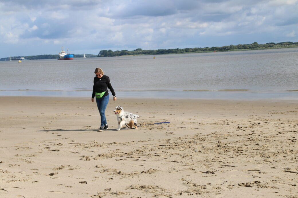 Feriendorf Altes Land Verwaltungsgesellschaft mbH