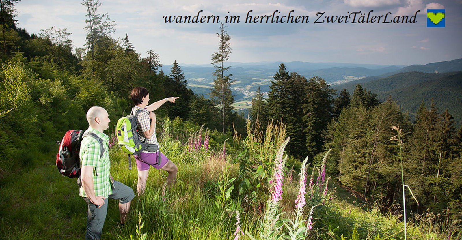 „Hernis-Höfle“ Wohlfühlambiente im Elztal  5⭐️Sterneferien.