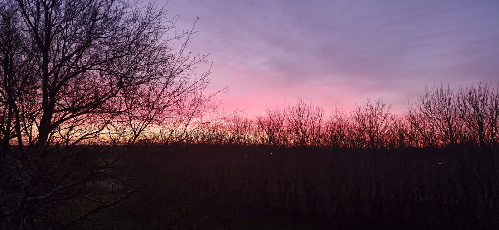 Skadshof  - Wo Leistung auf Leidenschaft trifft