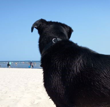 Ferienwohnungen Neeberg Usedom