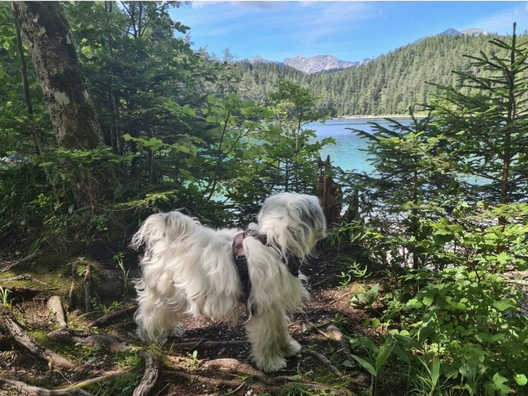 Ferienwohnungen Wunschzeit  Bayern