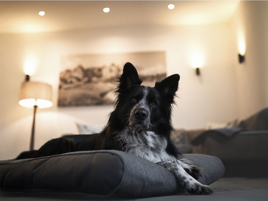 Ferienwohnungen Wunschzeit  Bayern