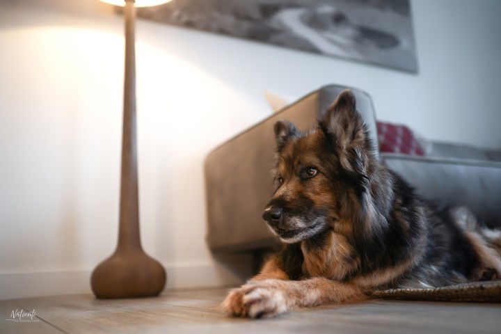 Ferienwohnungen Wunschzeit  Bayern