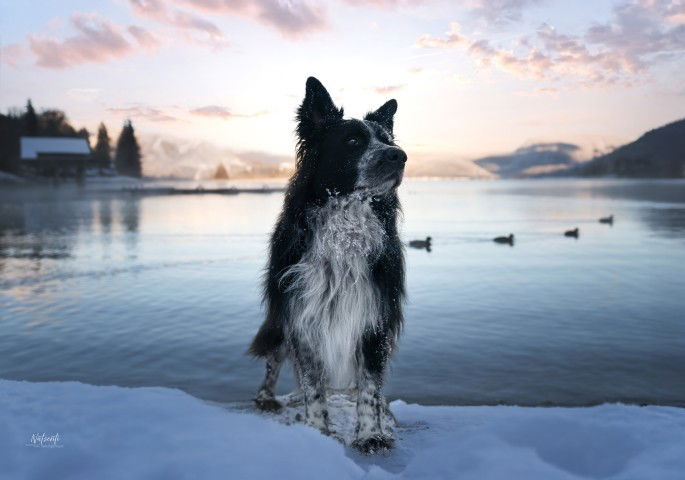 Ferienwohnungen Wunschzeit  Bayern