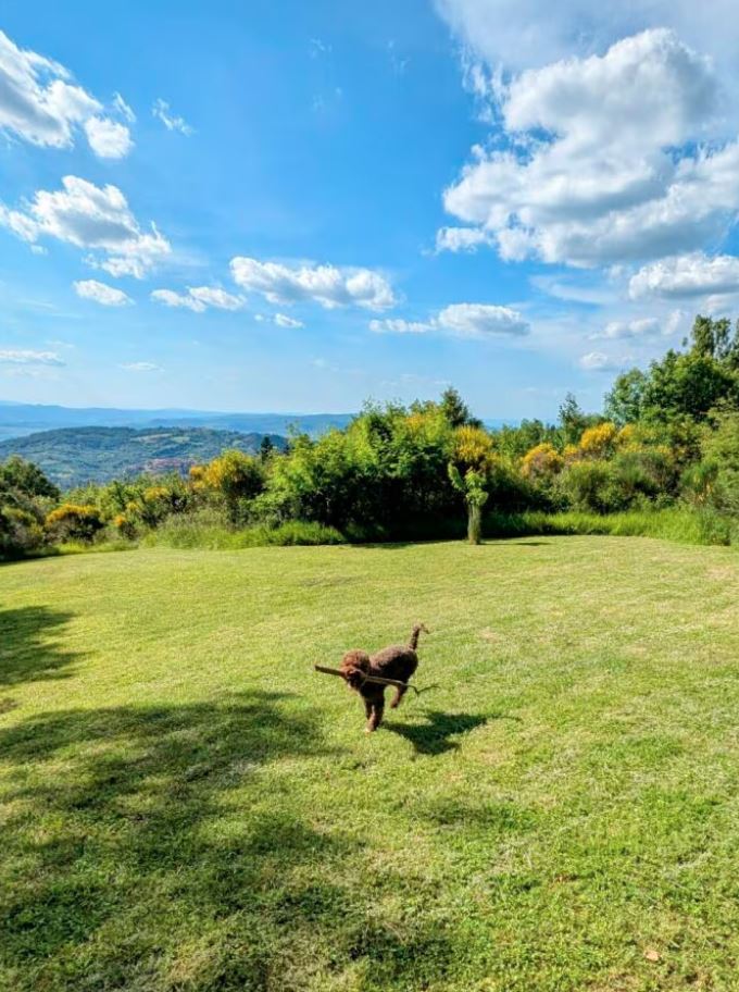 Ferienhaus Casa Viola
