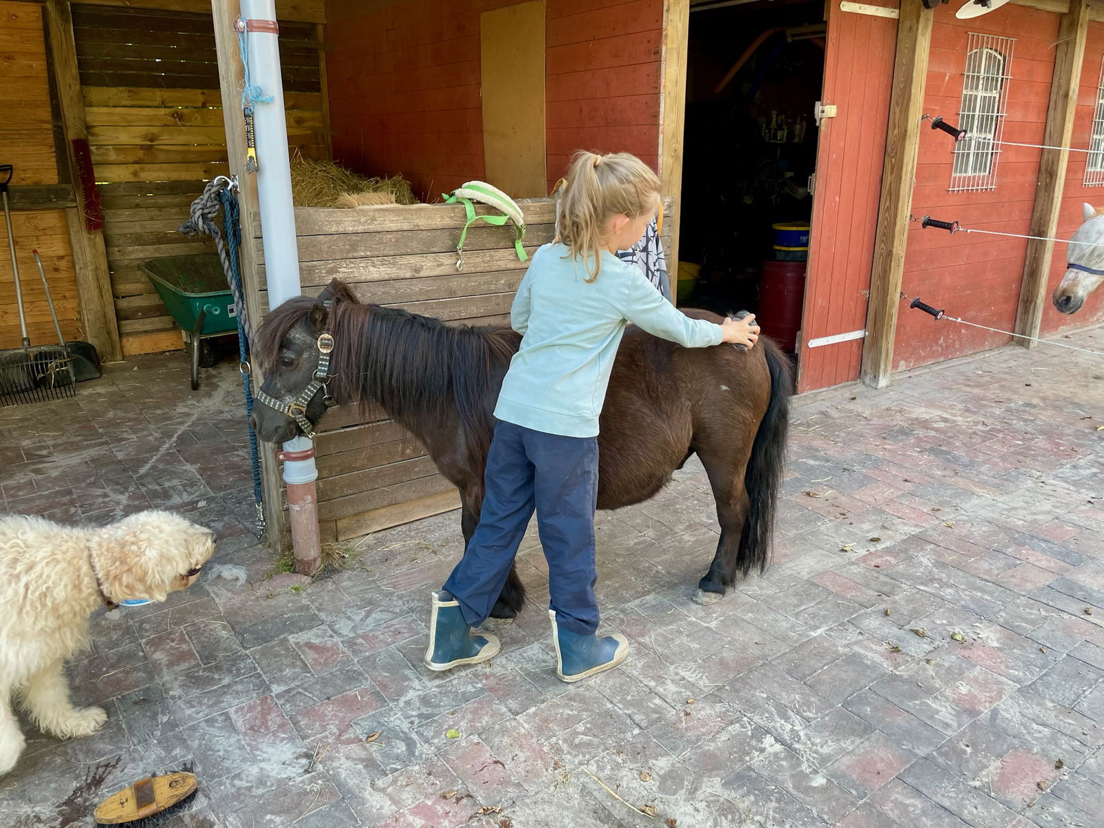 Grünhoff's Landhuus