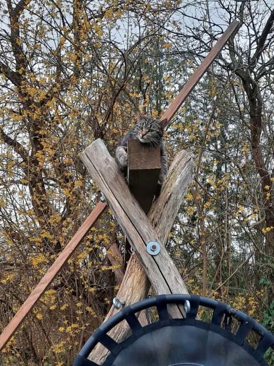 Ferienhaus Zur Tenne