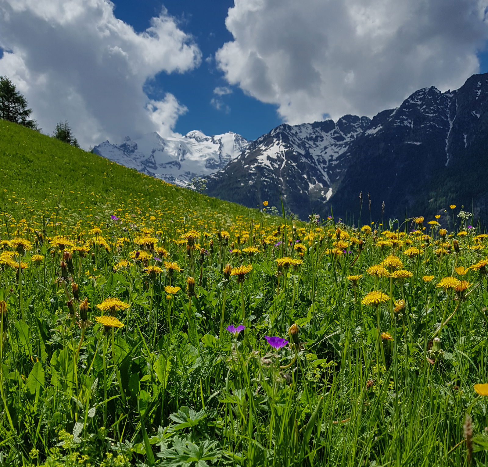Ferienwohnung Gspon Oberwallis / urchiges Walliser Maiensäss