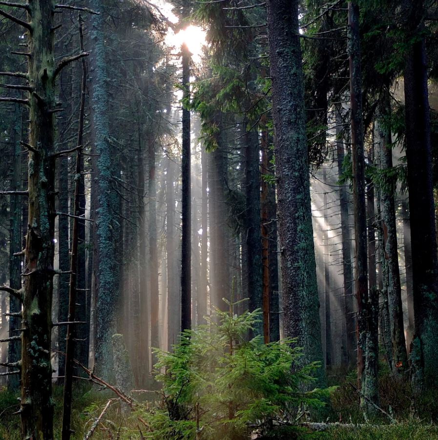 Erholung an der Nordsee - ruhig und dennoch zentral