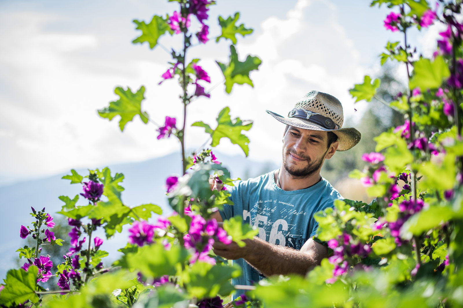 Nachhaltige Ferienwohnungen in Brixen/Plose Profigl - Eco Guesthouse