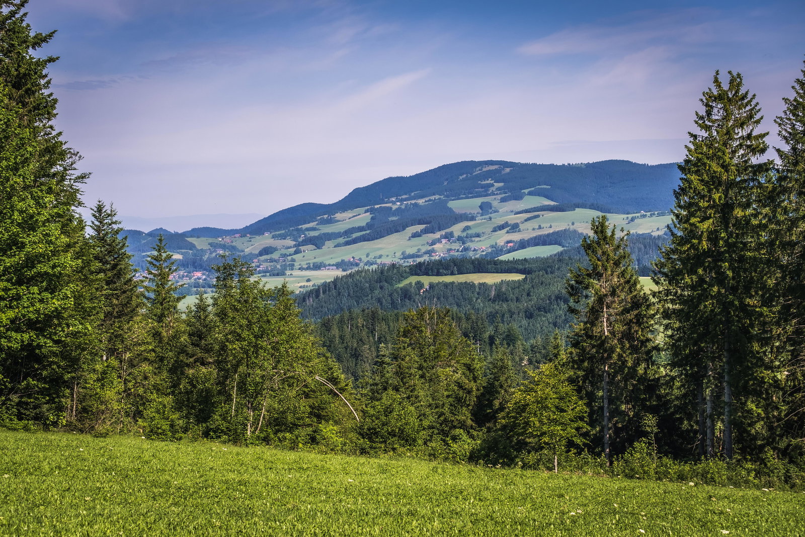 Schwarzwaldhuus Feldberg