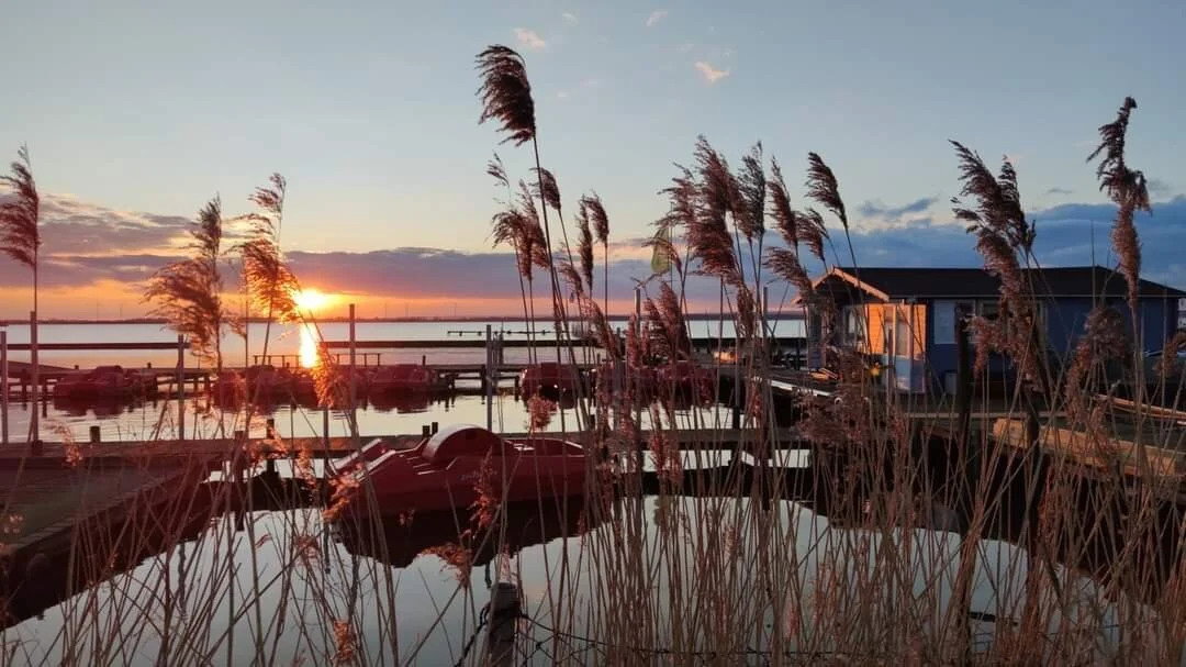 Ferienhaus Dümmerliebe