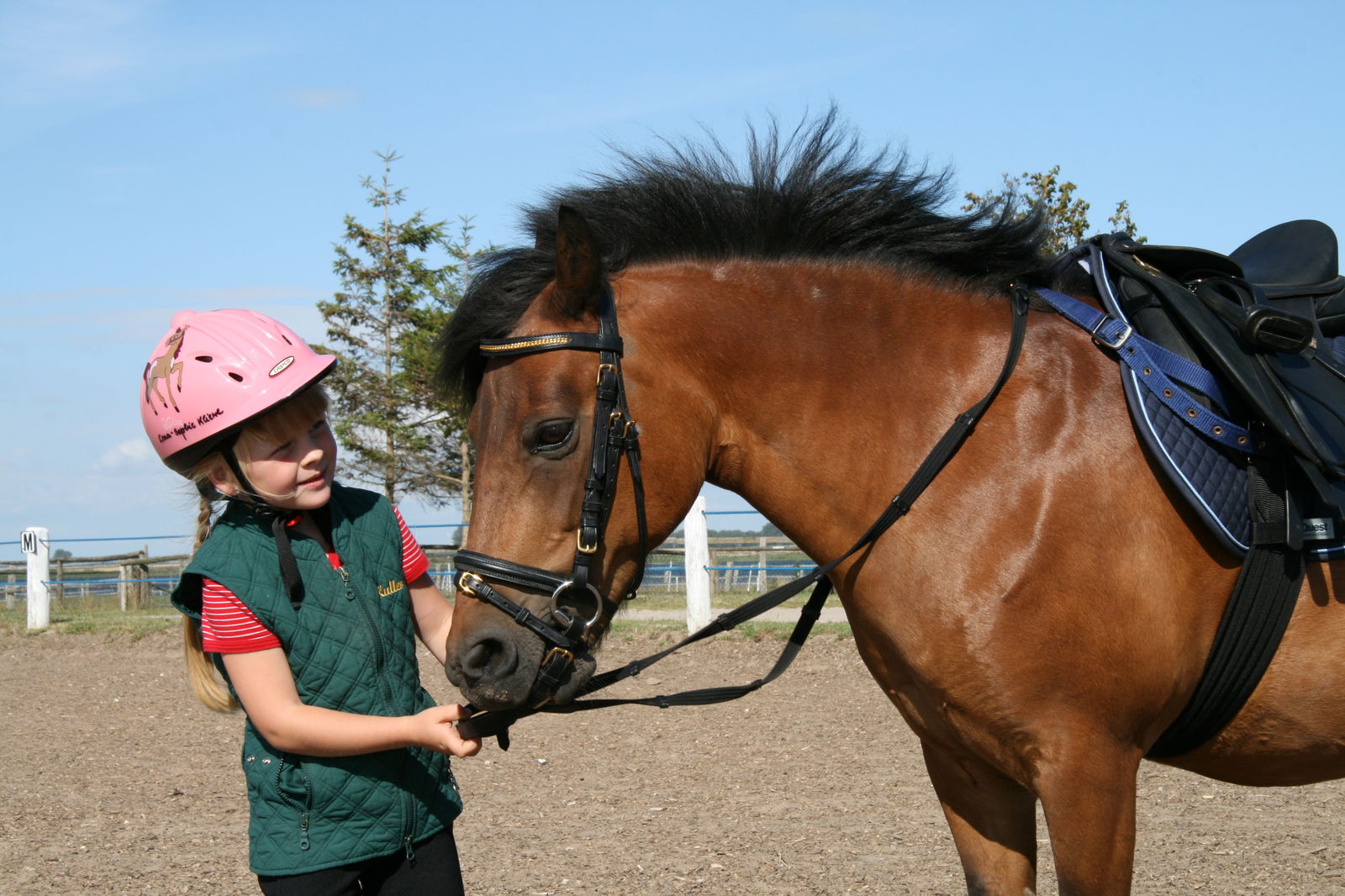 Erlebnis-Bauernhof Kliewe auf der Insel Rügen