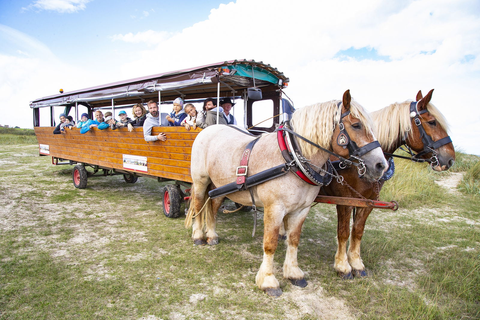 Ferienhof Frieslandstern