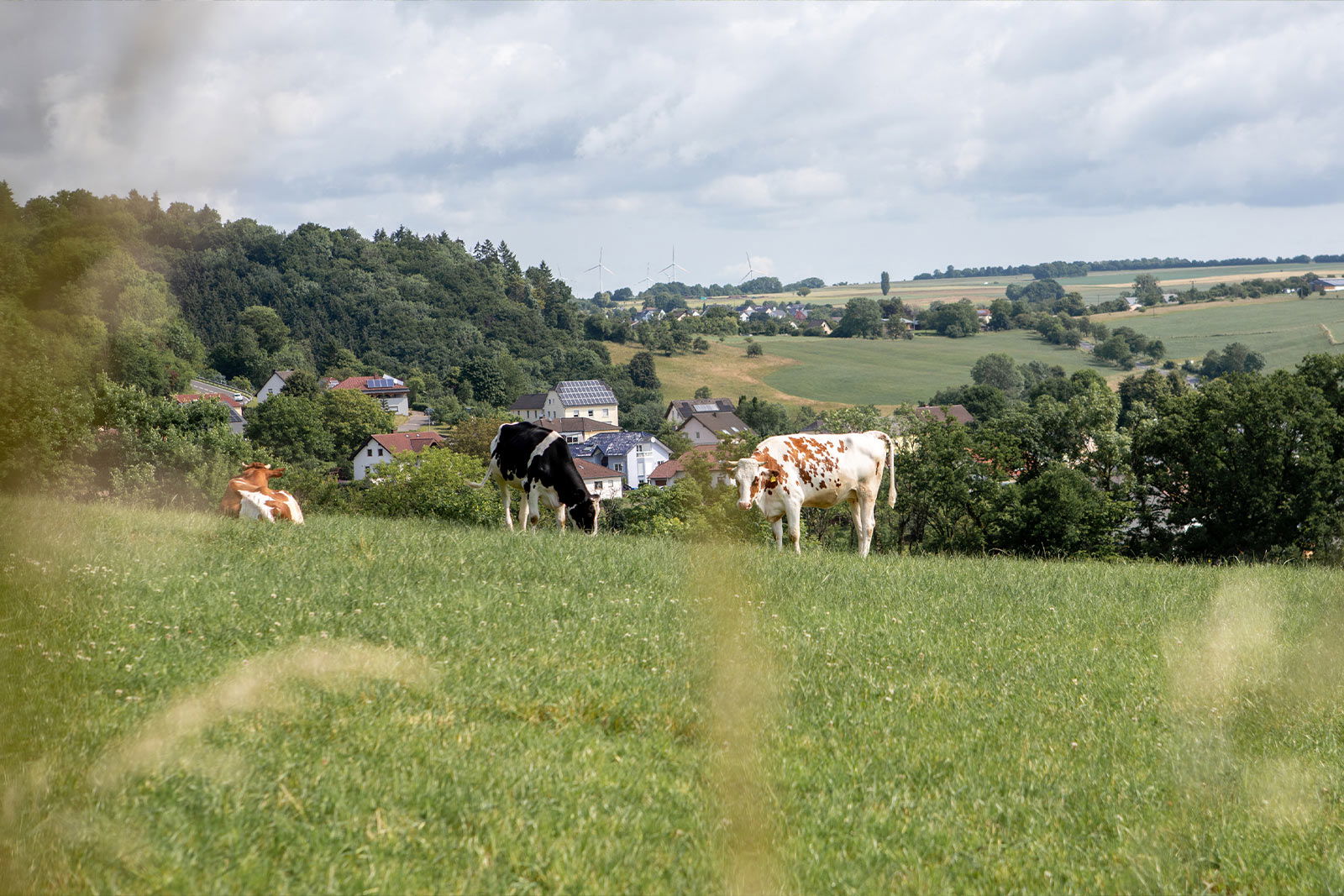 Nengshof – Natururlaub in der Eifel