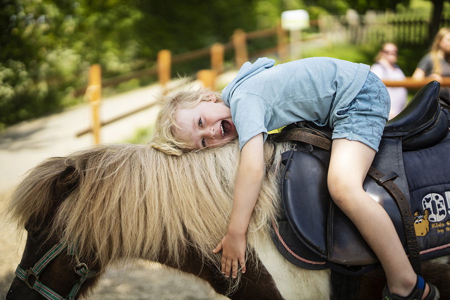 Ferienhof Belke-Spork