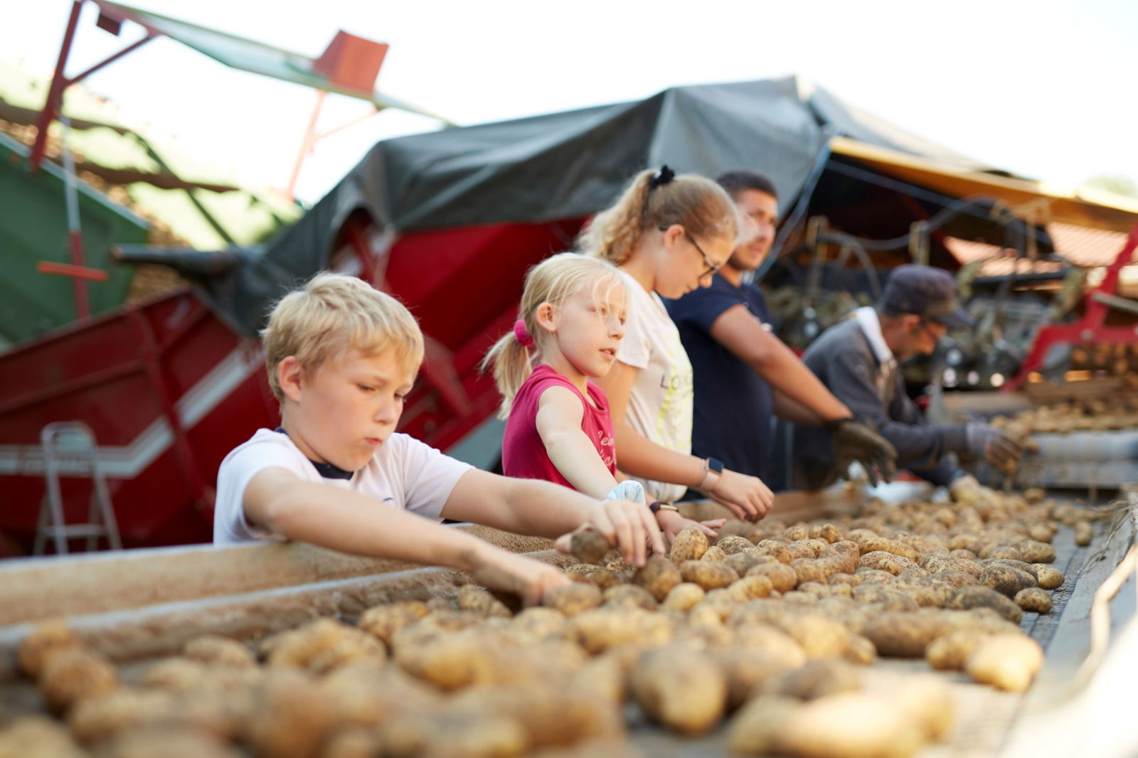 LandSelection Ferienhof Brandt,