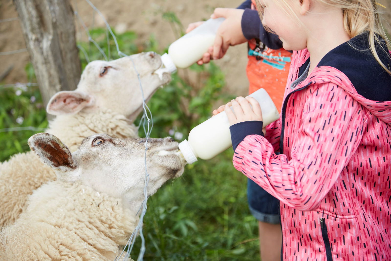 LandSelection Ferienhof Brandt,