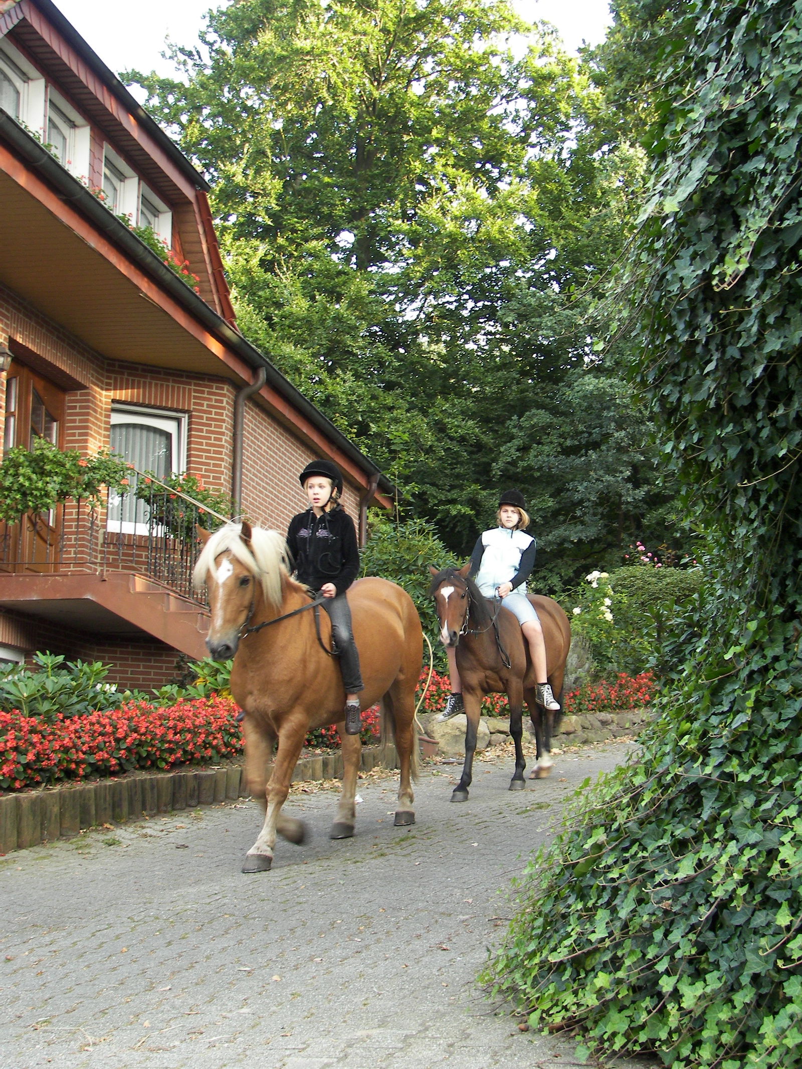 Familienhof Brüning