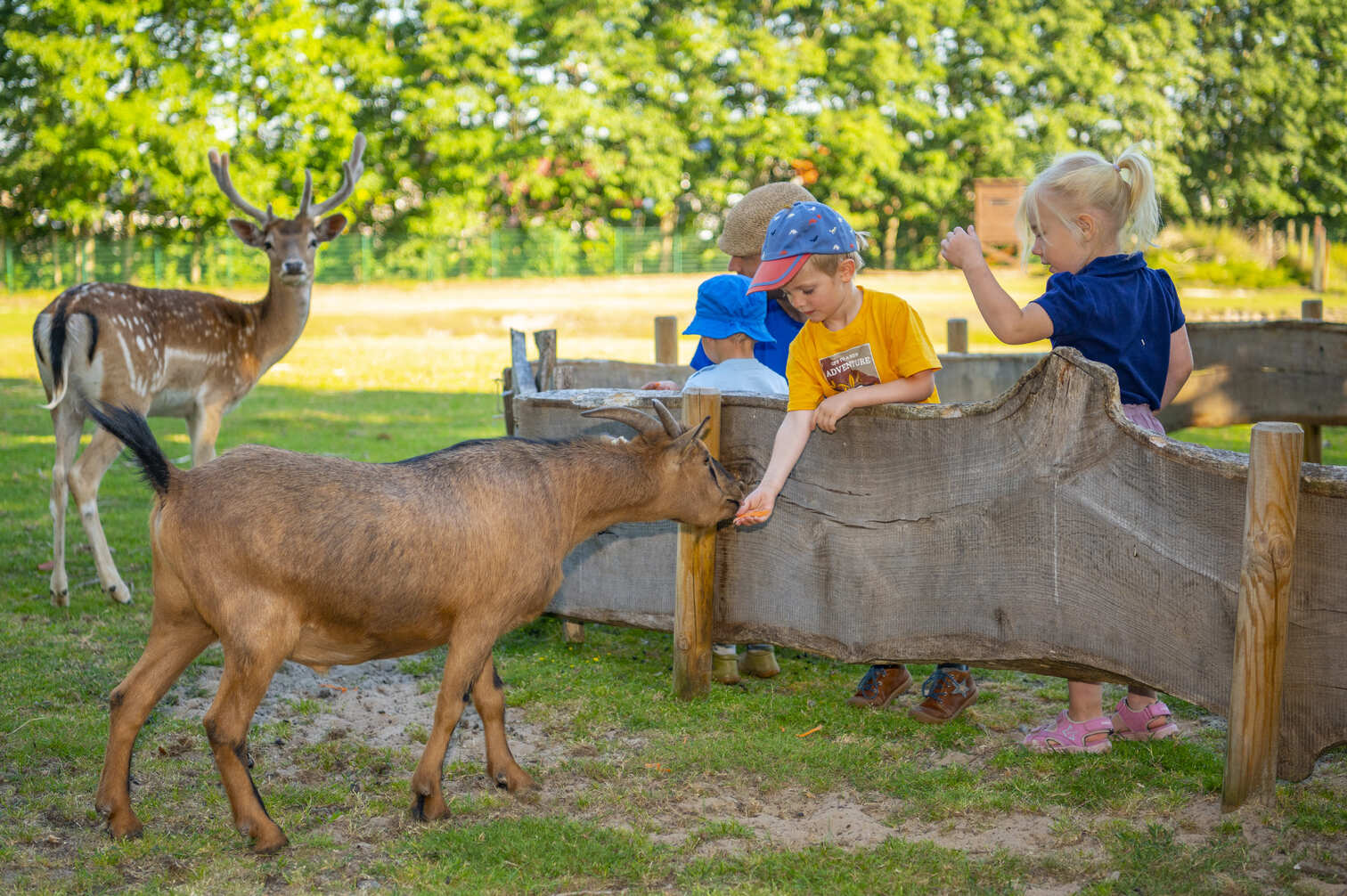 Familienhof Brüning – Erlebnishofurlaub mit Tieren für Familien im Emsland