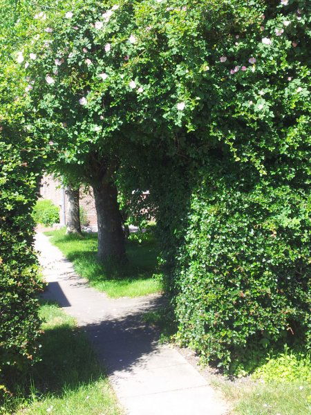 Ferienhof Familie Jörn Höper