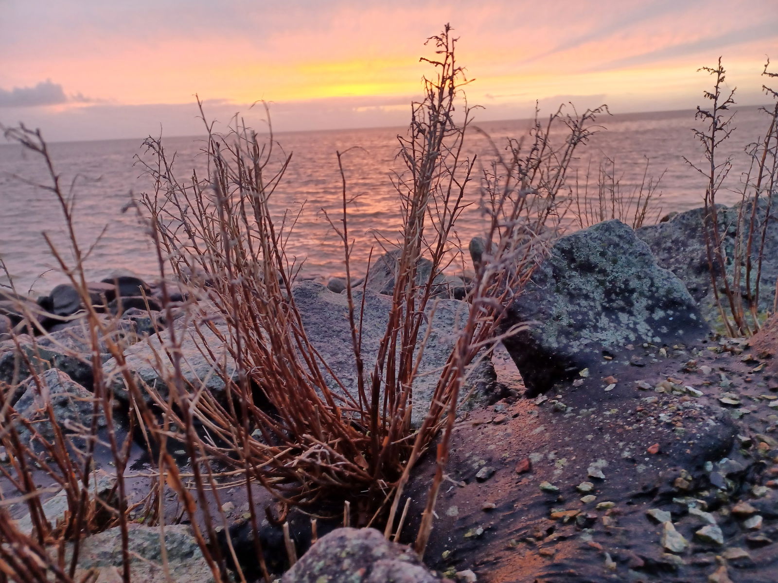 Ferienhof Landfrieden