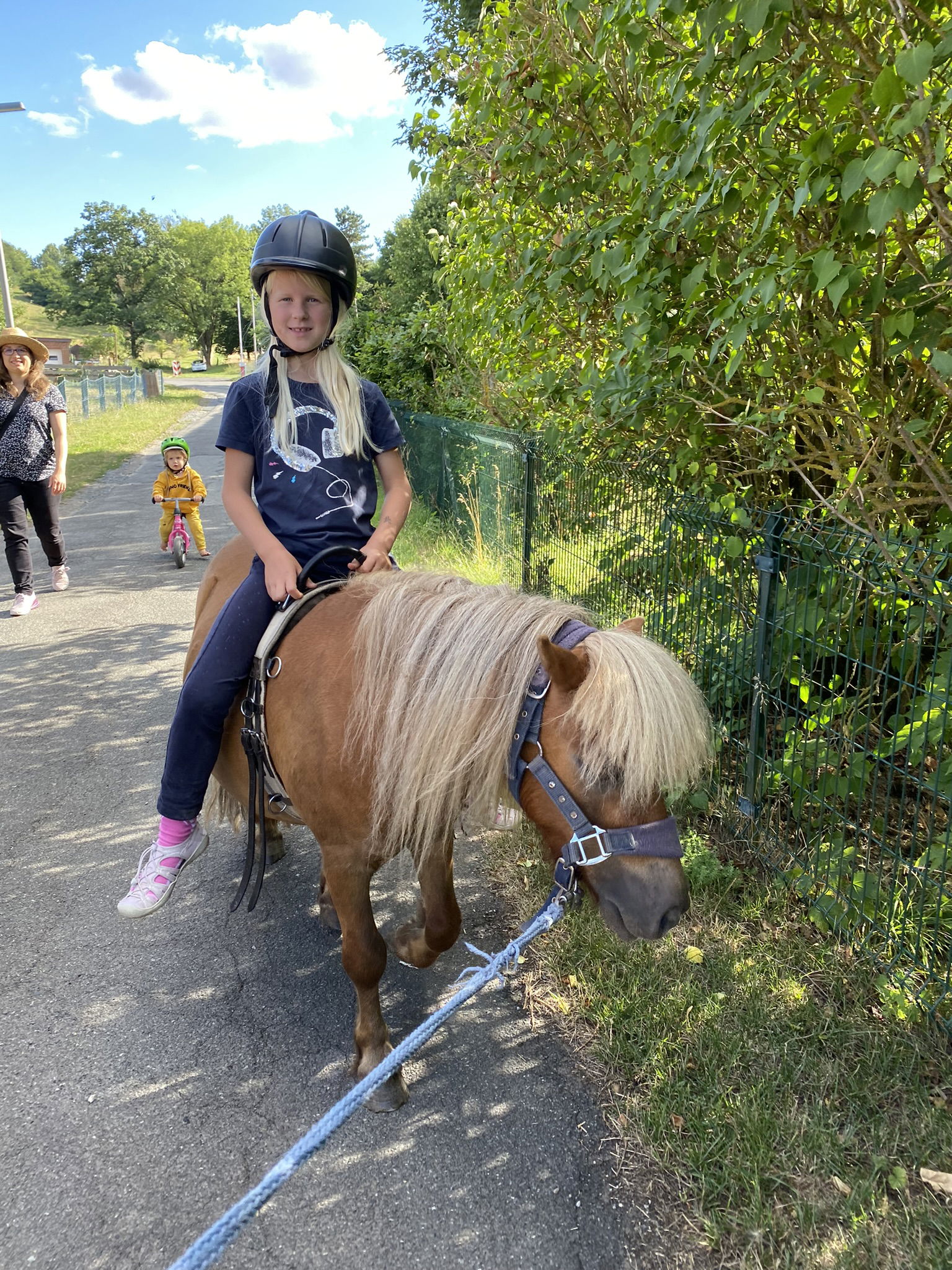 Ferienhof Morich Harz