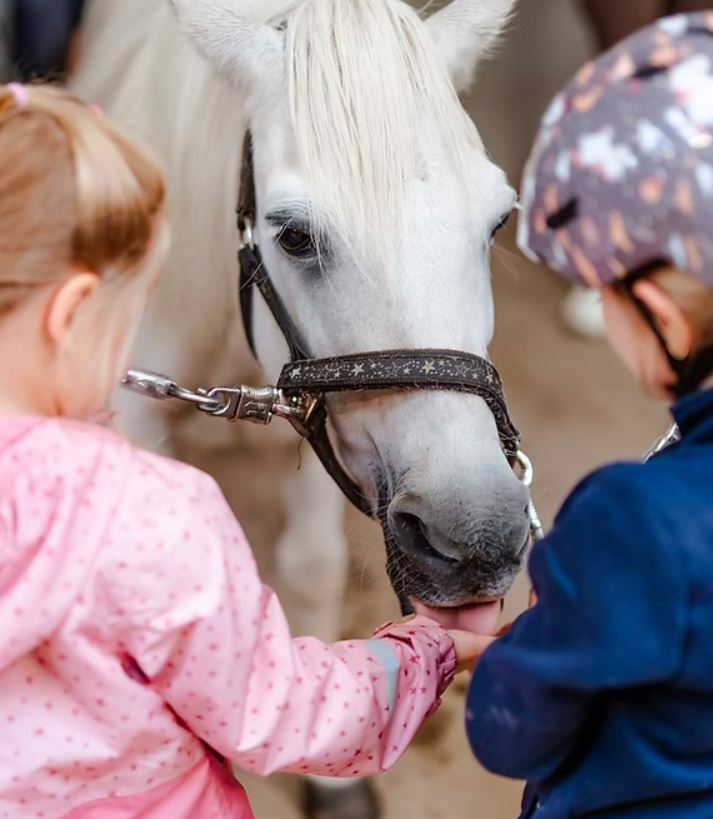 LandSelection - Ferienhof Paulsen