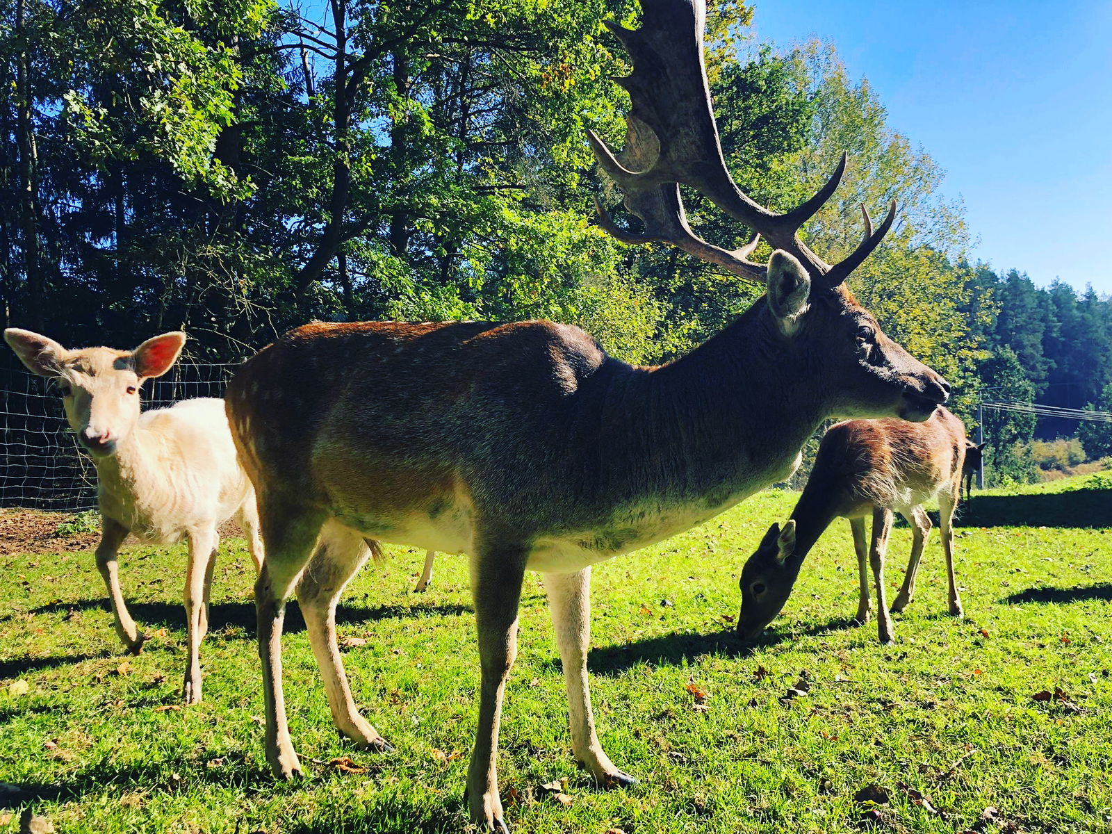 Ferienhof & Campingplatz Schweinmühle