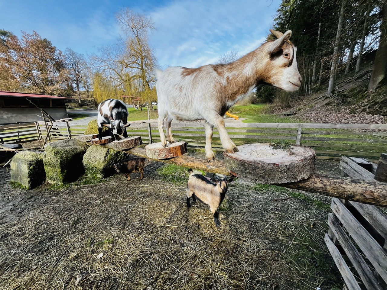 Ferienhof & Campingplatz Schweinmühle