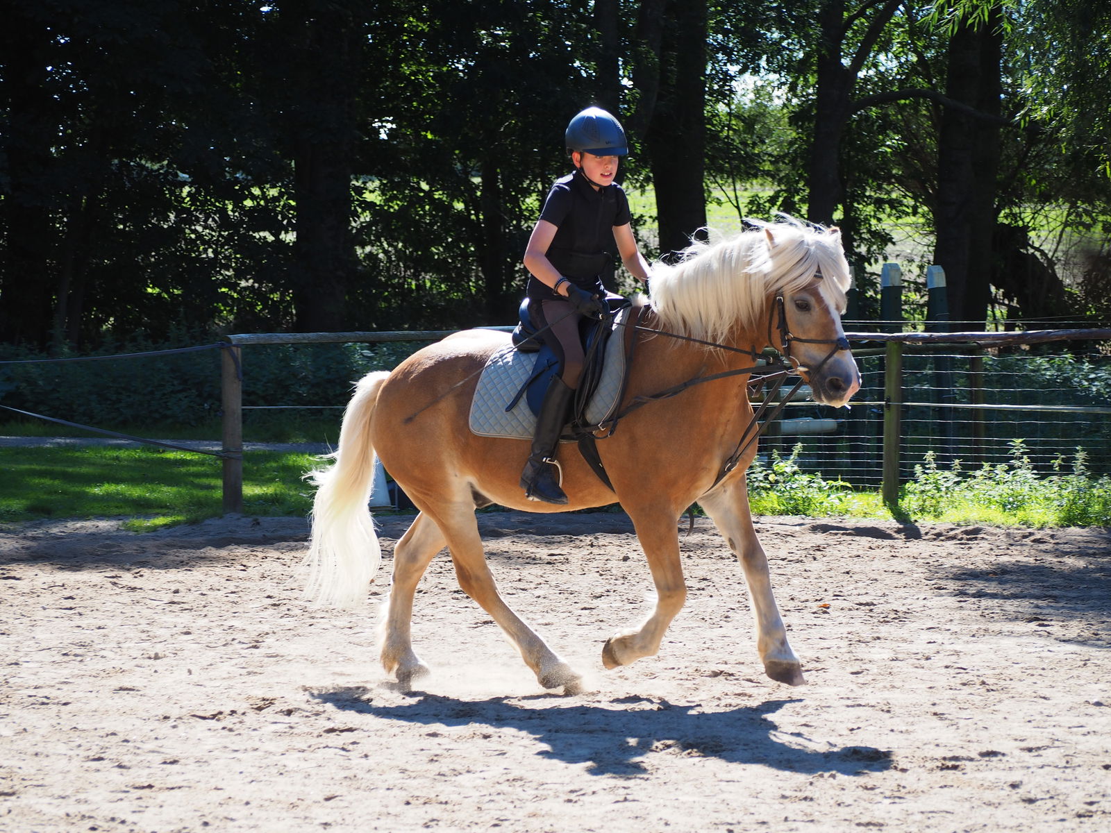 LandSelection Ferienhof Friedrichsthal