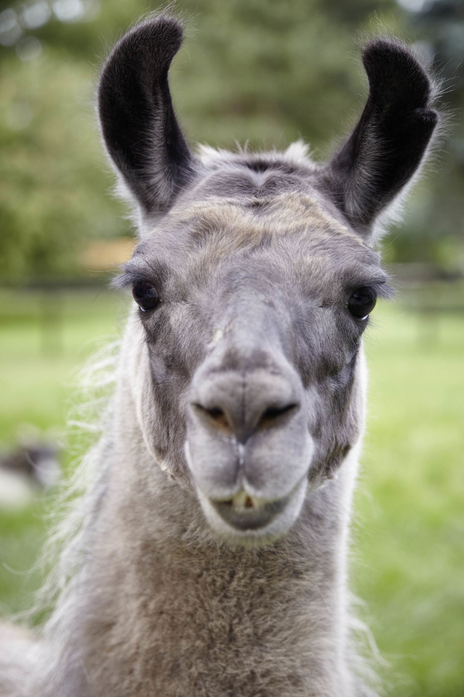 LandSelection Ferienhof Friedrichsthal