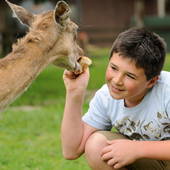 LandSelection Hanznhof