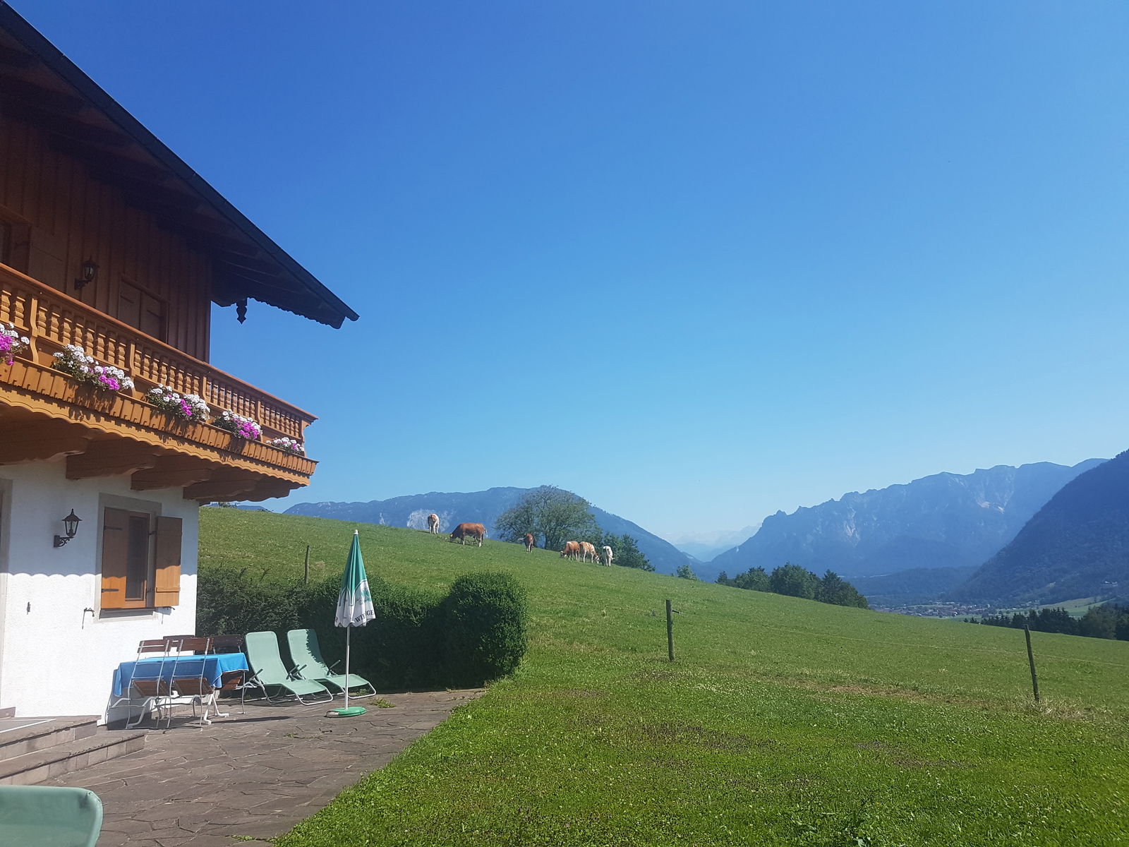 Kochhof auf dem Högl