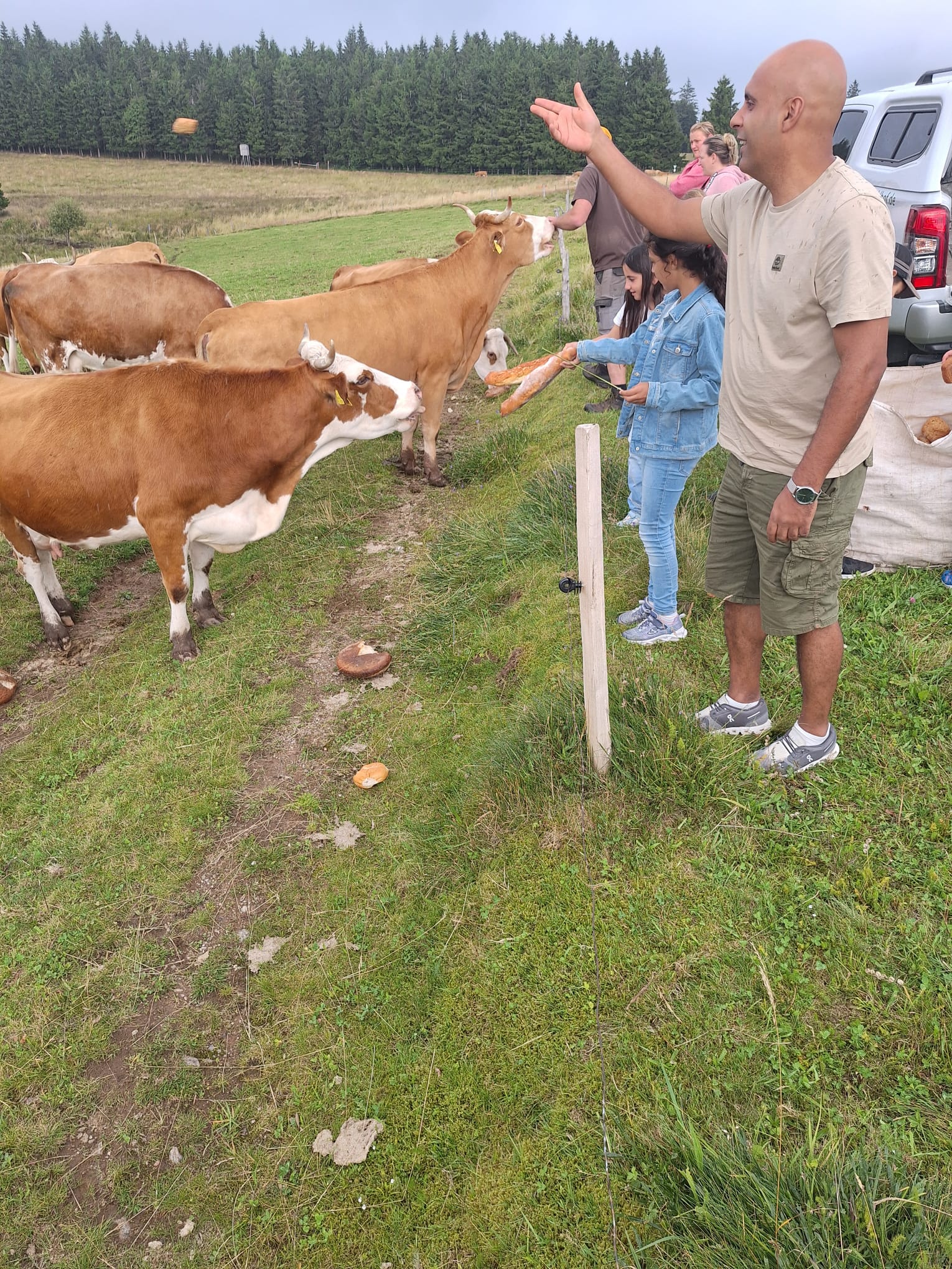 Willkommen bei Familie Gutmann  auf dem Itzenwaldhof