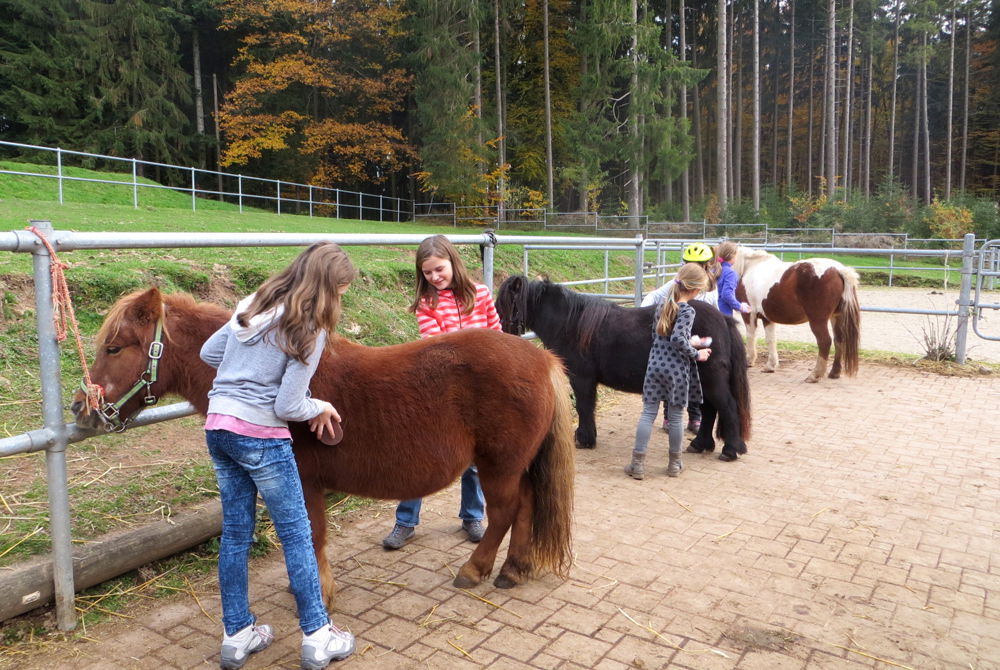 Schlosshof - der Urlaubsbauernhof