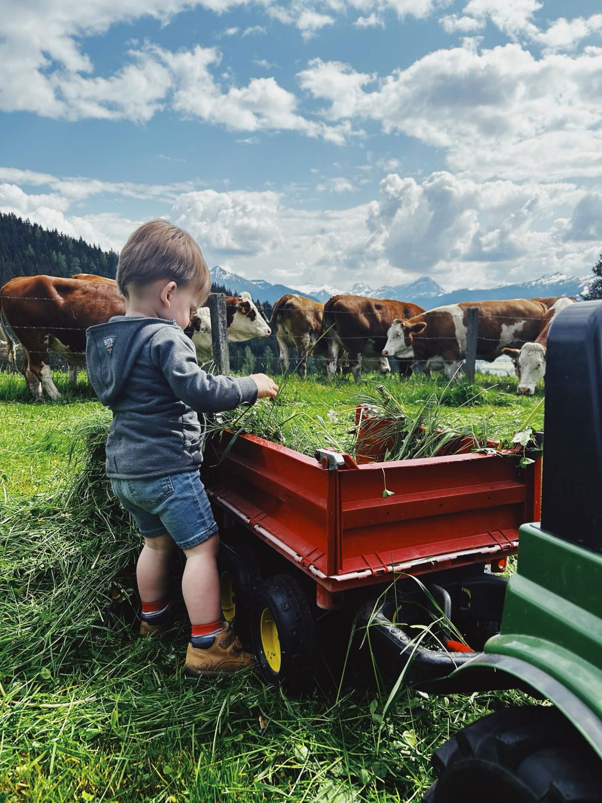 Bauernhofurlaub  Sinnhubgut