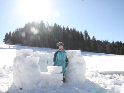 Bild 19 aus  Lechnerhof - Ferienhaus Lechnerhof